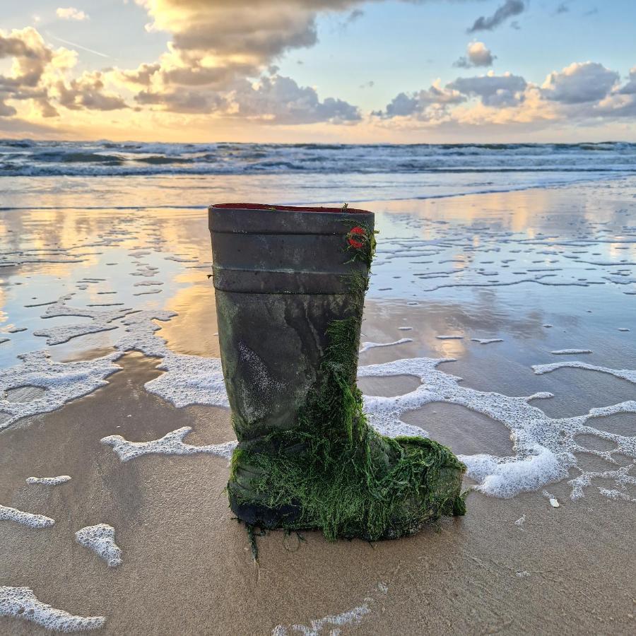 Nordseeperle Dirkshorn Nordholland, Mit Klimaanlage Und Sauna Dış mekan fotoğraf